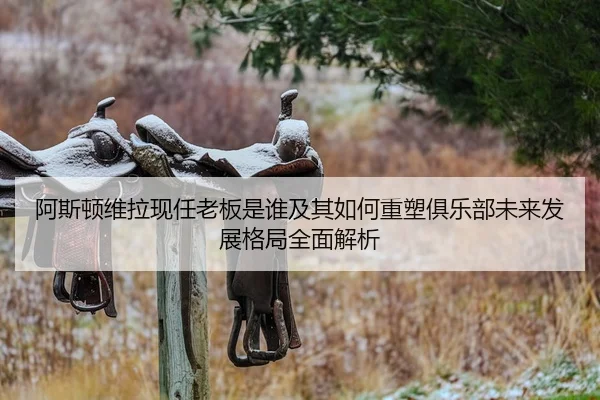 阿斯顿维拉现任老板是谁及其如何重塑俱乐部未来发展格局全面解析 - 新闻资讯相关报道缩略图