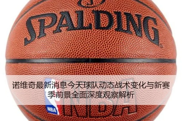 诺维奇最新消息今天球队动态战术变化与新赛季前景全面深度观察解析 - 新闻资讯焦点报道封面图